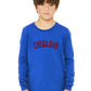 Daxton Youth Long Sleeve Colorado Basic Tshirt